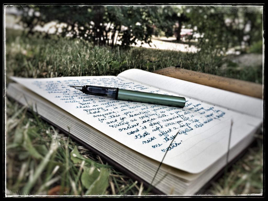 5-day artist challenge journal writing fountain pen